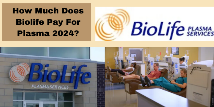 How Much Does Biolife Pay For Plasma 2024?