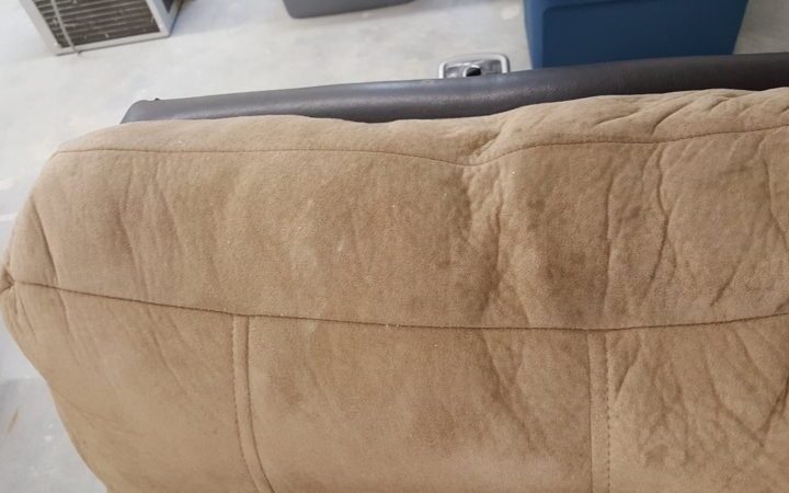 How to Remove Mould from My Couch in Sydney?