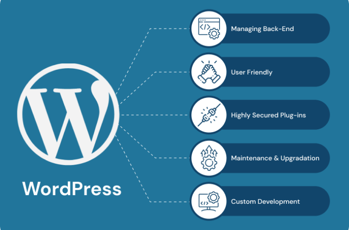 Wordpress Development Company