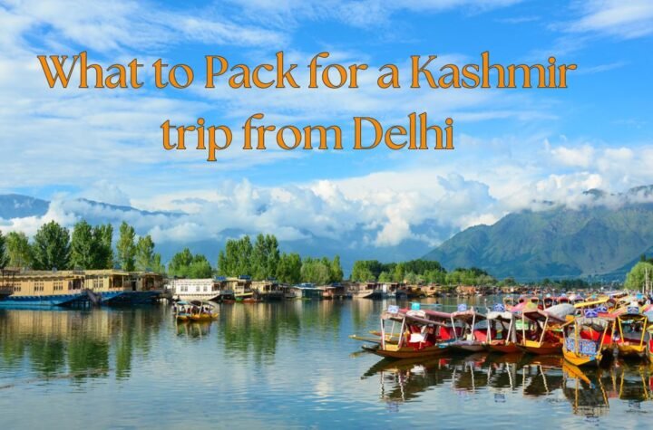 Kashmir trip from Delhi