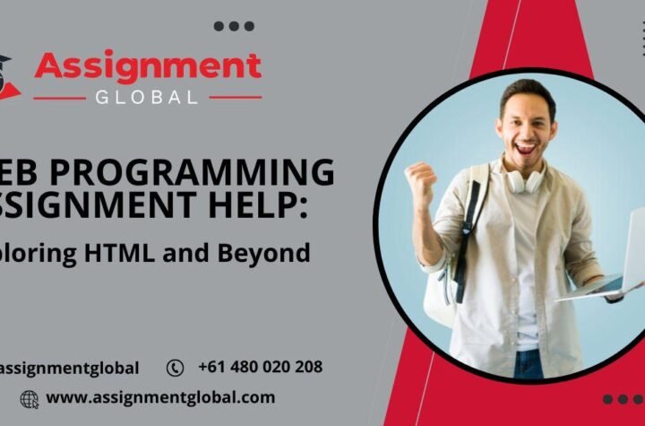 programming assignment help