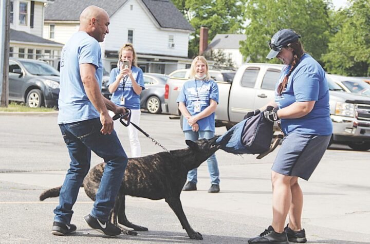 employee dog bite prevention