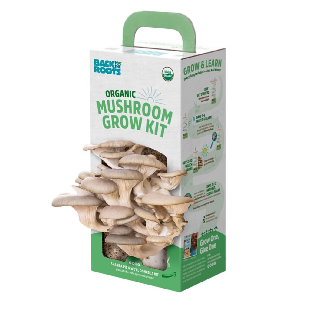 Mushroom boxes