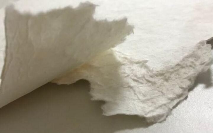 Bleached Kraft Pulp Market