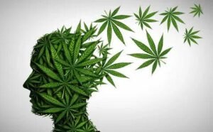 Cannabis Affect Sleep Patterns