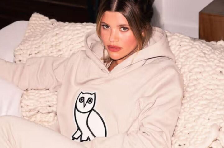 What Sets the OVO Hoodie Apart from Other Streetwear Brands